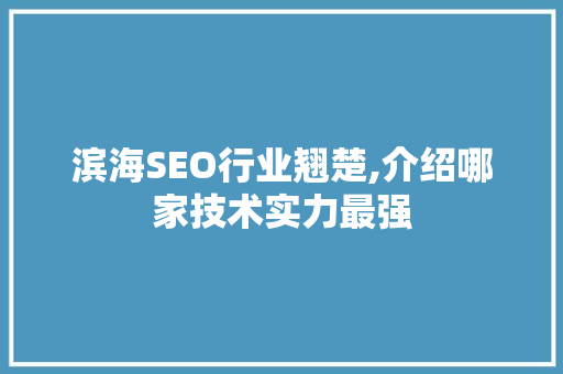 滨海SEO行业翘楚,介绍哪家技术实力最强