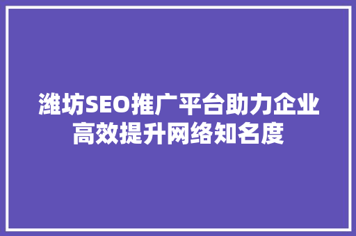 潍坊SEO推广平台助力企业高效提升网络知名度