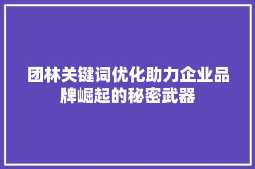 团林关键词优化助力企业品牌崛起的秘密武器 网站优化