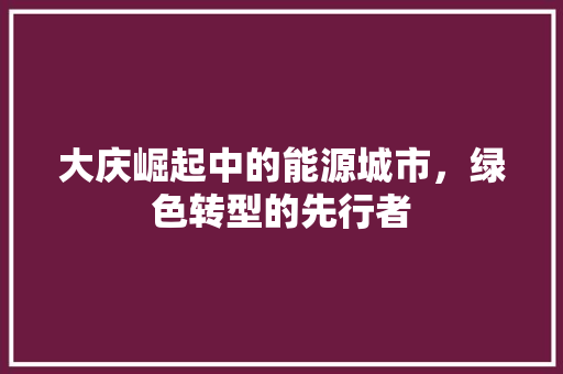 大庆崛起中的能源城市，绿色转型的先行者