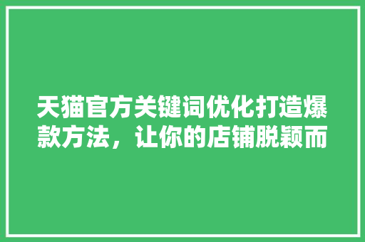 天猫官方关键词优化打造爆款方法，让你的店铺脱颖而出