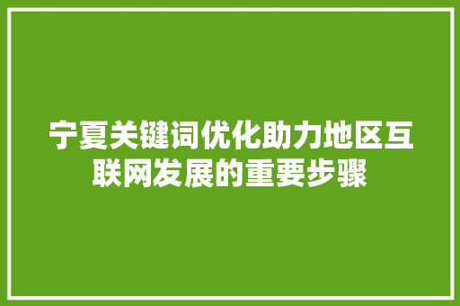 宁夏关键词优化助力地区互联网发展的重要步骤