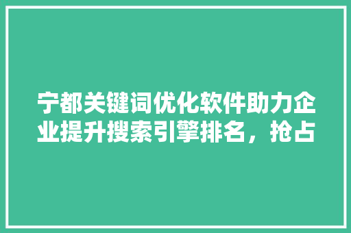 宁都关键词优化软件助力企业提升搜索引擎排名，抢占网络市场先机
