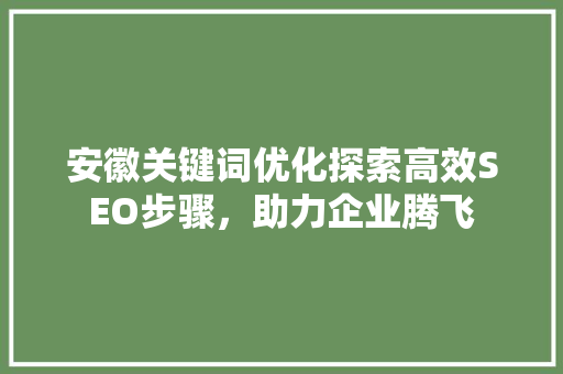 安徽关键词优化探索高效SEO步骤，助力企业腾飞