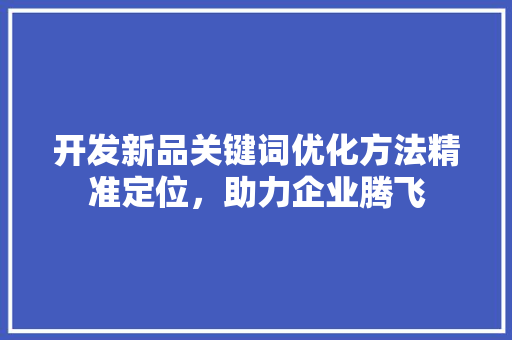 开发新品关键词优化方法精准定位，助力企业腾飞