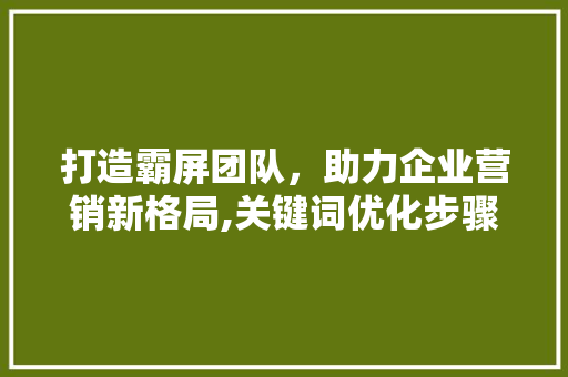 打造霸屏团队，助力企业营销新格局,关键词优化步骤