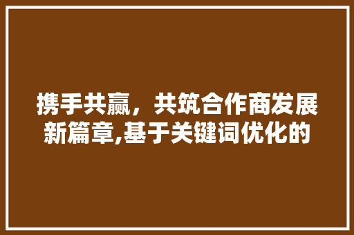 携手共赢，共筑合作商发展新篇章,基于关键词优化的步骤与方法