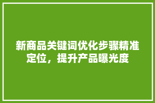 新商品关键词优化步骤精准定位，提升产品曝光度