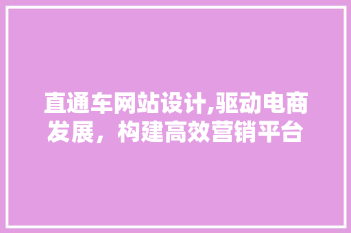 直通车网站设计,驱动电商发展，构建高效营销平台