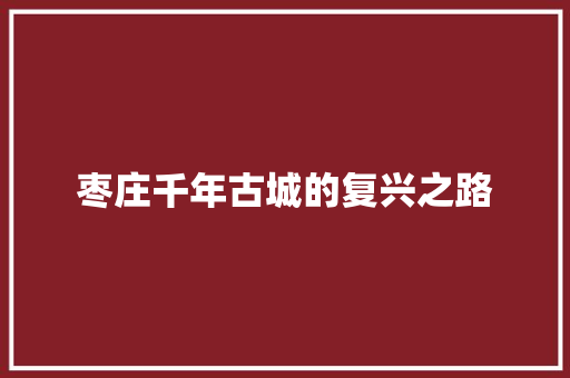 枣庄千年古城的复兴之路 搜狗优化