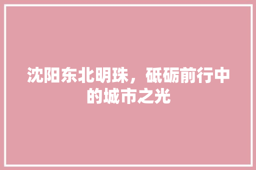 沈阳东北明珠，砥砺前行中的城市之光