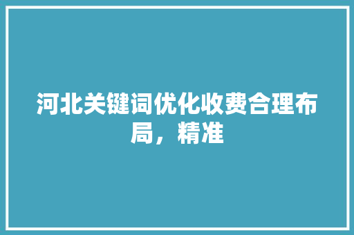 河北关键词优化收费合理布局，精准