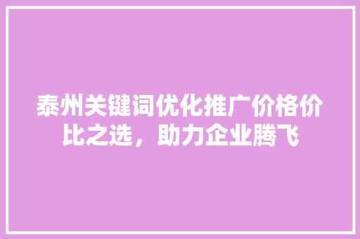 泰州关键词优化推广价格价比之选，助力企业腾飞