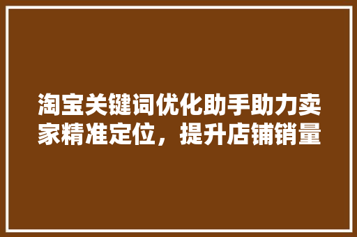 淘宝关键词优化助手助力卖家精准定位，提升店铺销量
