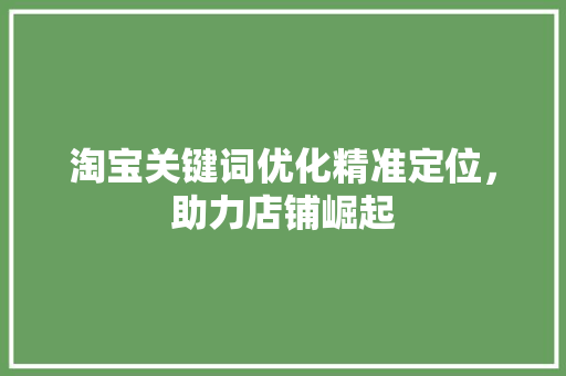 淘宝关键词优化精准定位，助力店铺崛起 seo技术