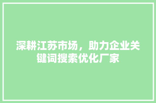 深耕江苏市场，助力企业关键词搜索优化厂家