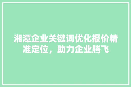 湘潭企业关键词优化报价精准定位，助力企业腾飞 seo技术