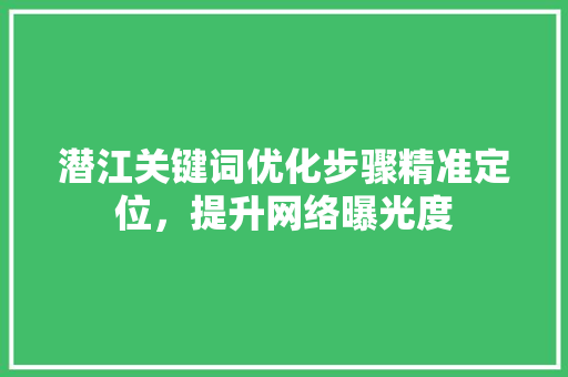 潜江关键词优化步骤精准定位，提升网络曝光度 网站优化