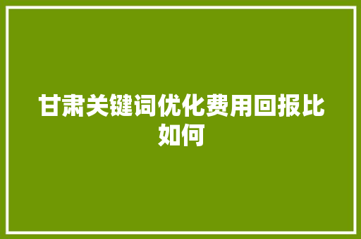 甘肃关键词优化费用回报比如何