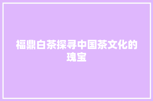 福鼎白茶探寻中国茶文化的瑰宝 seo技术