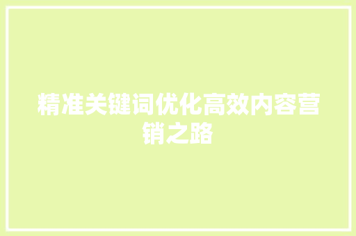 精准关键词优化高效内容营销之路