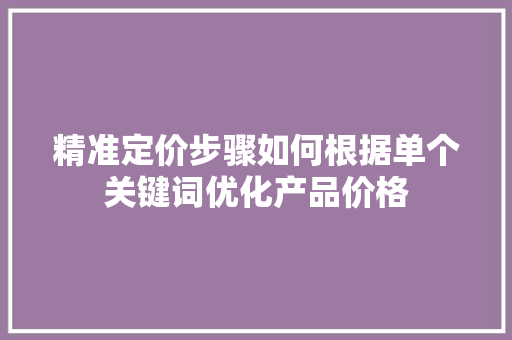 精准定价步骤如何根据单个关键词优化产品价格