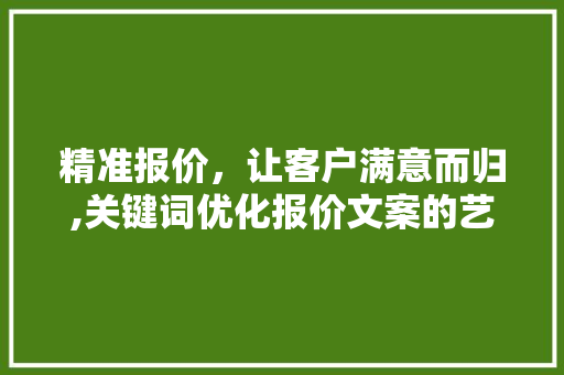 精准报价，让客户满意而归,关键词优化报价文案的艺术