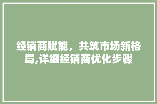 经销商赋能，共筑市场新格局,详细经销商优化步骤 英文谷歌算法
