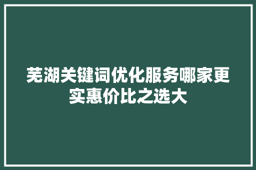 芜湖关键词优化服务哪家更实惠价比之选大