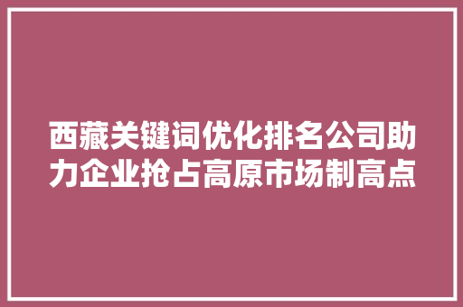 西藏关键词优化排名公司助力企业抢占高原市场制高点