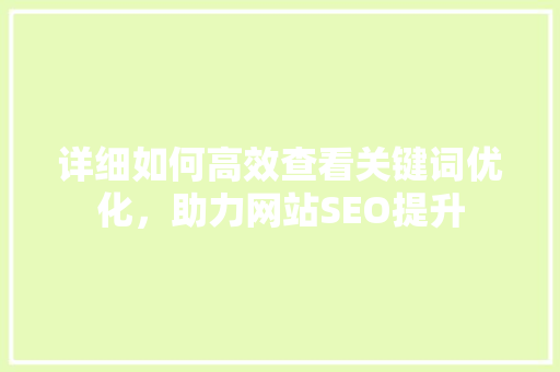 详细如何高效查看关键词优化，助力网站SEO提升