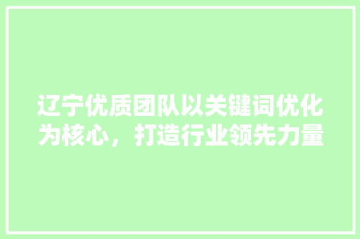 辽宁优质团队以关键词优化为核心，打造行业领先力量