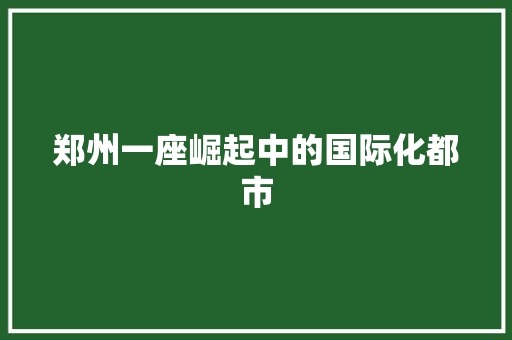郑州一座崛起中的国际化都市 搜狗优化