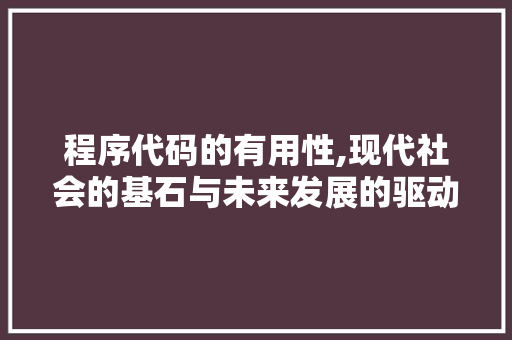程序代码的有用性,现代社会的基石与未来发展的驱动力 程序代码的有用性,现代社会的基石与未来发展的驱动力 英文谷歌算法