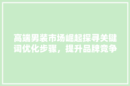 高端男装市场崛起探寻关键词优化步骤，提升品牌竞争力 头条优化
