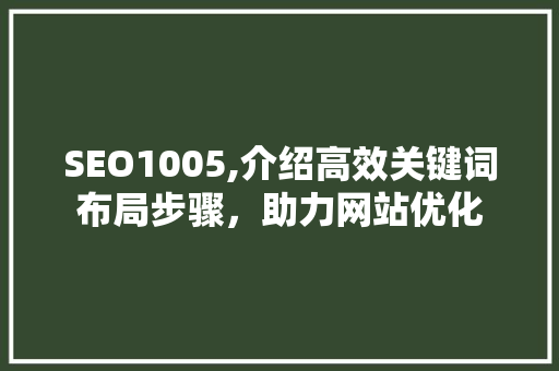 SEO1005,介绍高效关键词布局步骤，助力网站优化