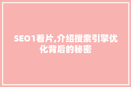 SEO1看片,介绍搜索引擎优化背后的秘密
