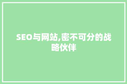 SEO与网站,密不可分的战略伙伴 网站开发