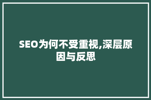 SEO为何不受重视,深层原因与反思