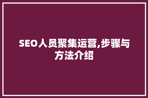 SEO人员聚集运营,步骤与方法介绍
