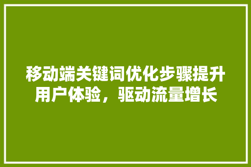 移动端关键词优化步骤提升用户体验，驱动流量增长 小程序开发