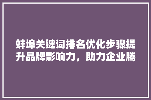 蚌埠关键词排名优化步骤提升品牌影响力，助力企业腾飞