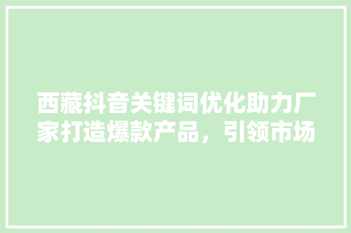 西藏抖音关键词优化助力厂家打造爆款产品，引领市场潮流