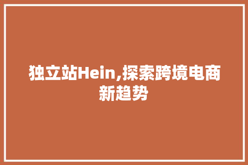 独立站Hein,探索跨境电商新趋势 独立站Hein,探索跨境电商新趋势 网站开发