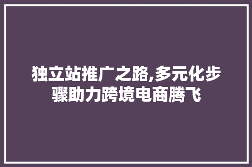 独立站推广之路,多元化步骤助力跨境电商腾飞 独立站推广之路,多元化步骤助力跨境电商腾飞 小程序开发