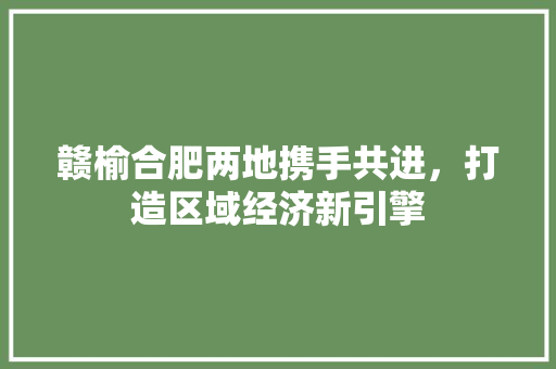 赣榆合肥两地携手共进，打造区域经济新引擎