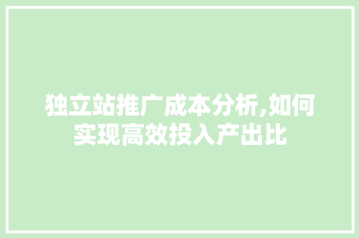 独立站推广成本分析,如何实现高效投入产出比 独立站推广成本分析,如何实现高效投入产出比 AI技术学习