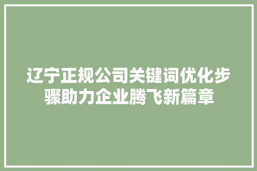 辽宁正规公司关键词优化步骤助力企业腾飞新篇章