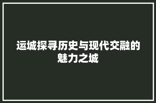 运城探寻历史与现代交融的魅力之城 英文谷歌算法