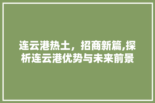 连云港热土，招商新篇,探析连云港优势与未来前景